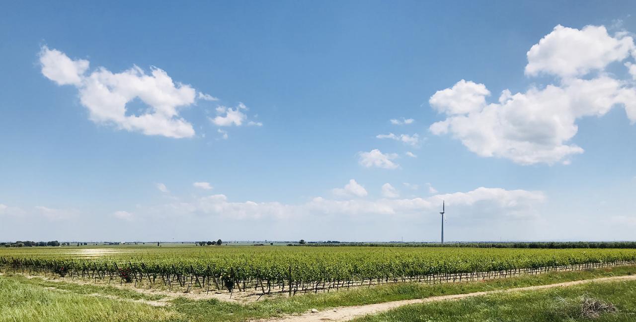 Готель Masseria Nel Sole Лучера Екстер'єр фото